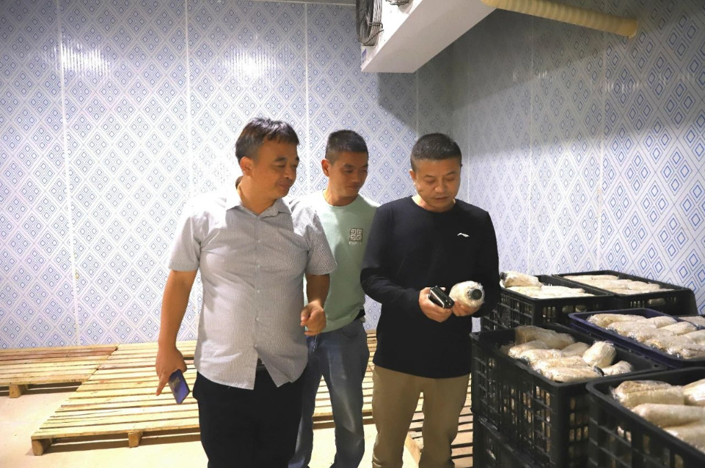 微信图片_20241120133026