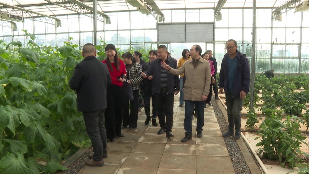 李晓彤渌口镇人大活动图2