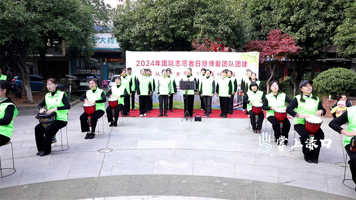 渌口区举行2024国际志愿者日活动图1