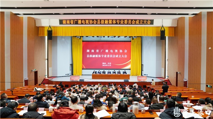 县融专委会成立图