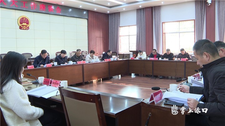 渌口区召开区委人大工作座谈图