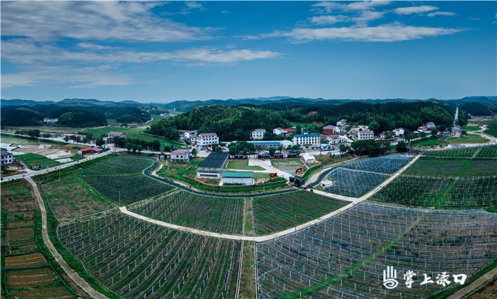 渌口朱亭百果园图1