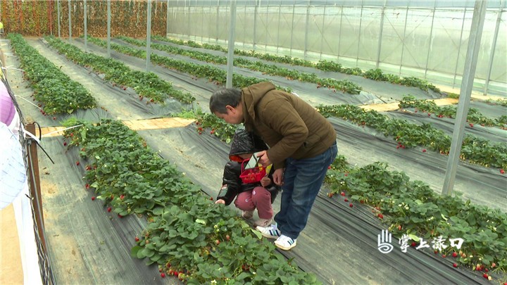 渌口朱亭百果园图3