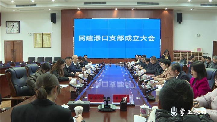 民建渌口支部成立图