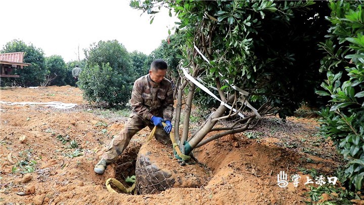 dbdf03ff-c743-43a3-8441-c3c5a8633a27