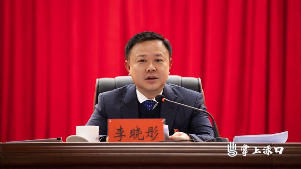 中国共产党株洲市渌口区第二届委员会九次全体会议图2