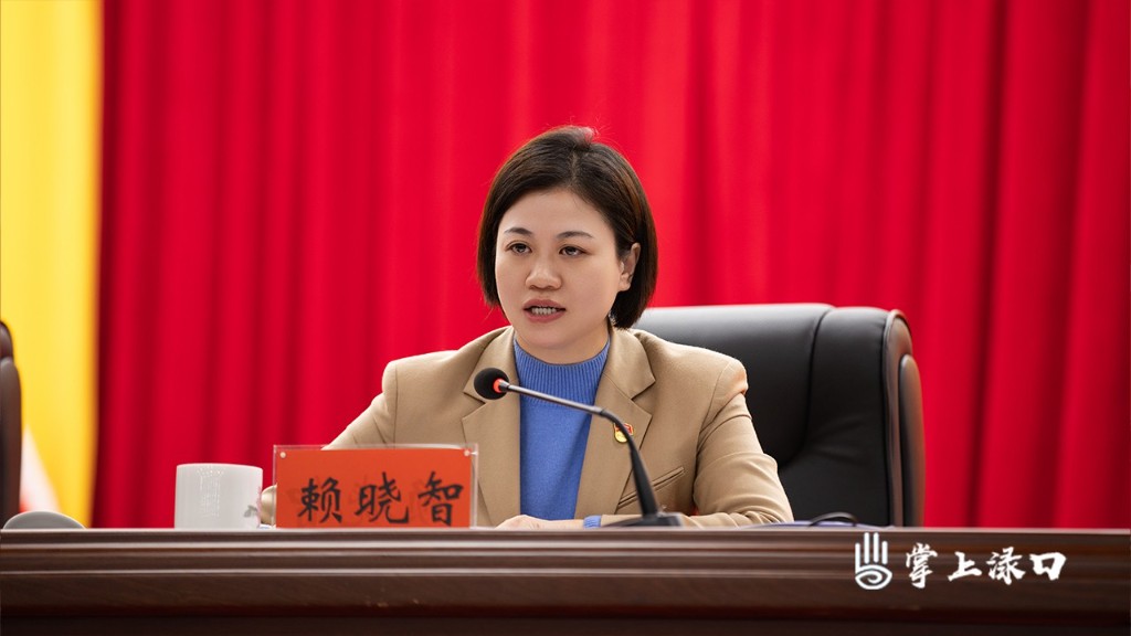 中国共产党株洲市渌口区第二届委员会九次全体会议图3