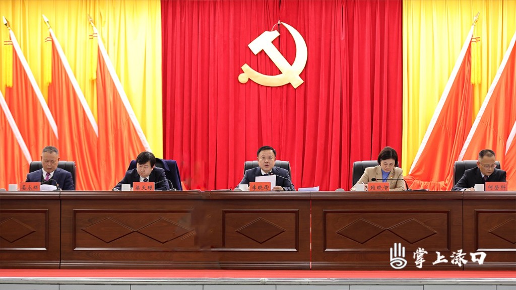 中国共产党株洲市渌口区第二届委员会九次全体会议图4