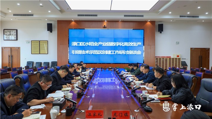 渌口区水稻全产业链数字化高效生产示范区图