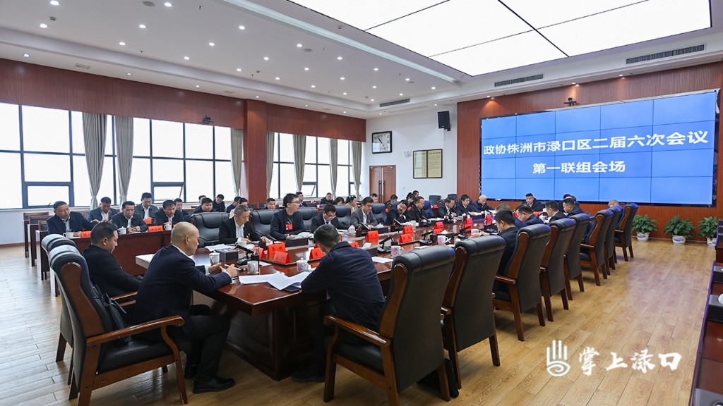 聚焦两会协商讨论图1