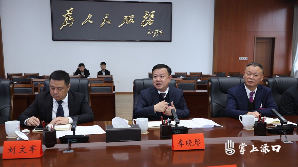 聚焦两会协商讨论图2