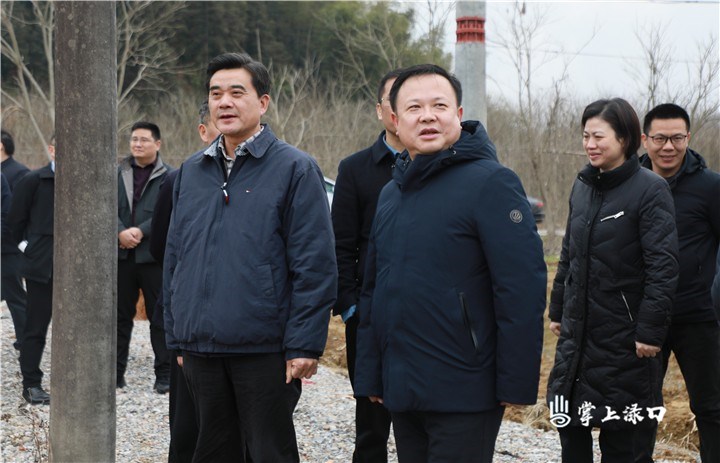 柏连阳院士来渌口区调研粮食生产图1