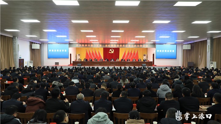 渌口区第二届纪委第五次全体会议图1