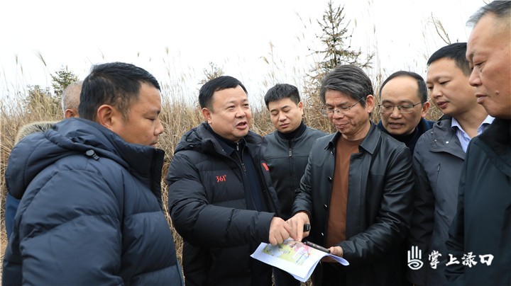 李晓彤调研绿色循环经济产业园图1