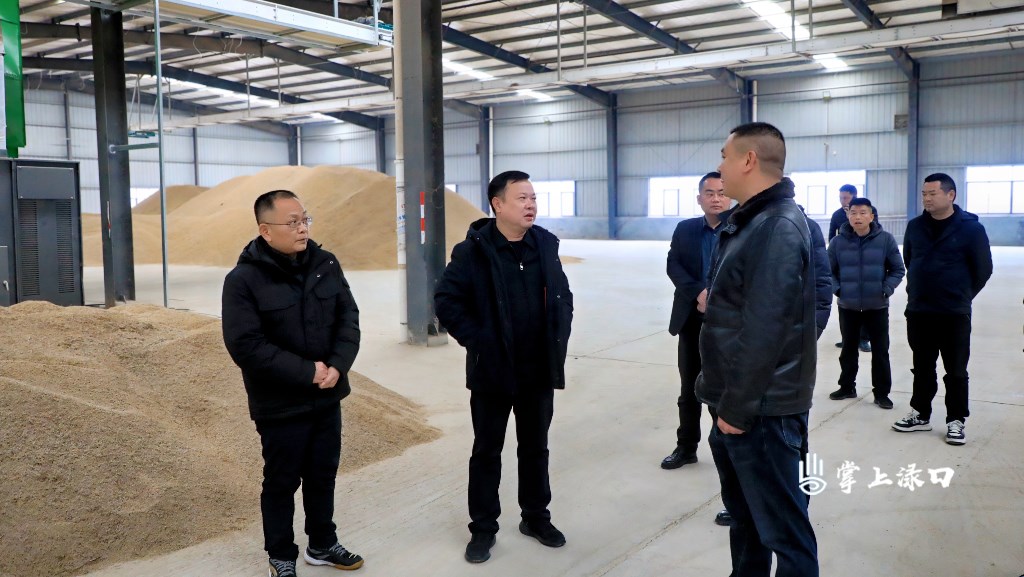 李晓彤到多个镇村调研农业农村工作图1