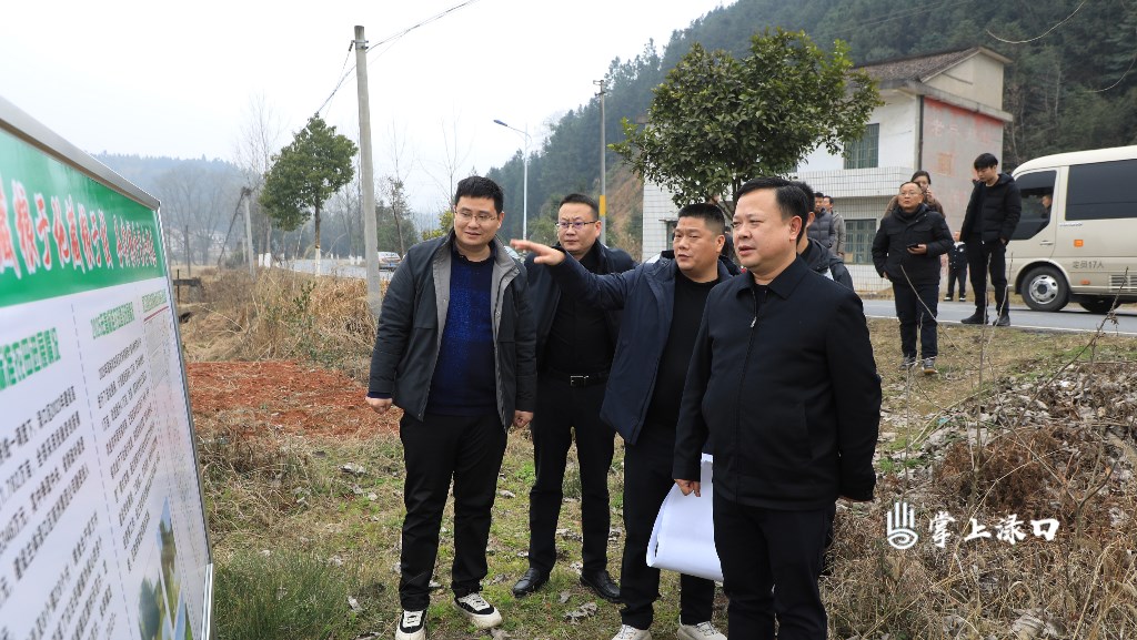 李晓彤到多个镇村调研农业农村工作图3