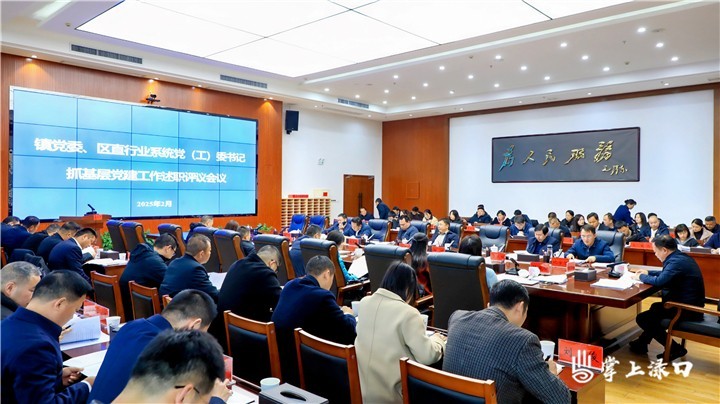 渌口区召开2024年度镇党委和区直行业系统图1