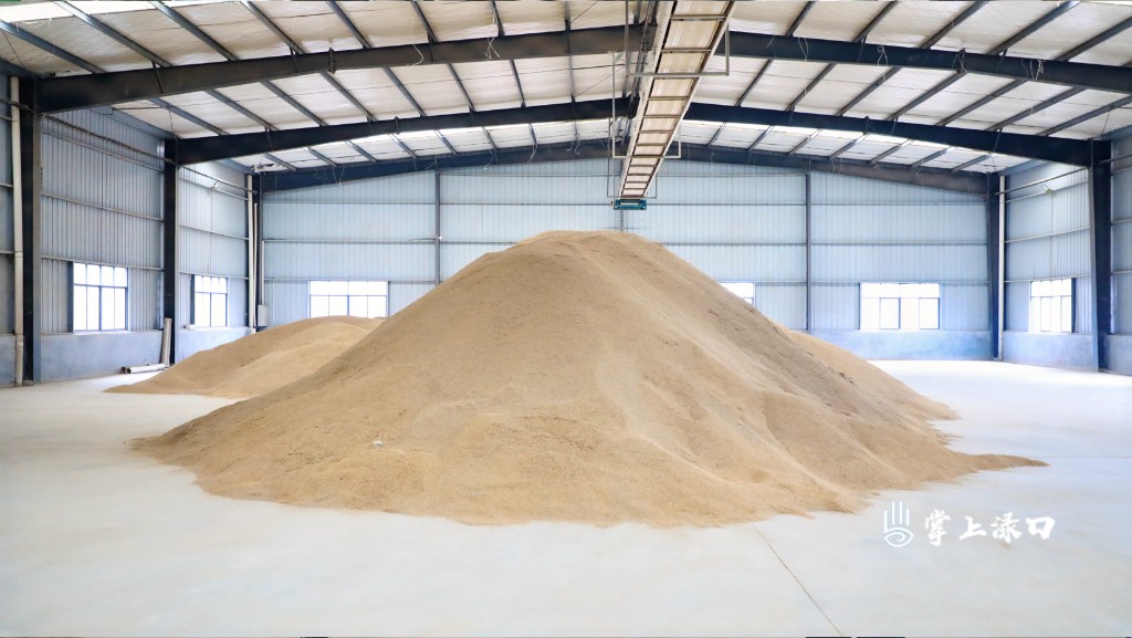 李晓彤到多个镇村调研农业农村工作图2