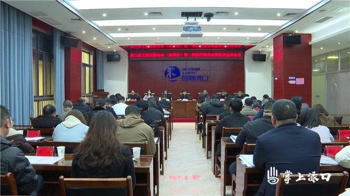 渌口区工商联召开一届执行委员会第五次会议图