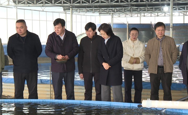 省委农办一行来渌口区指导春季农业生产工作图2