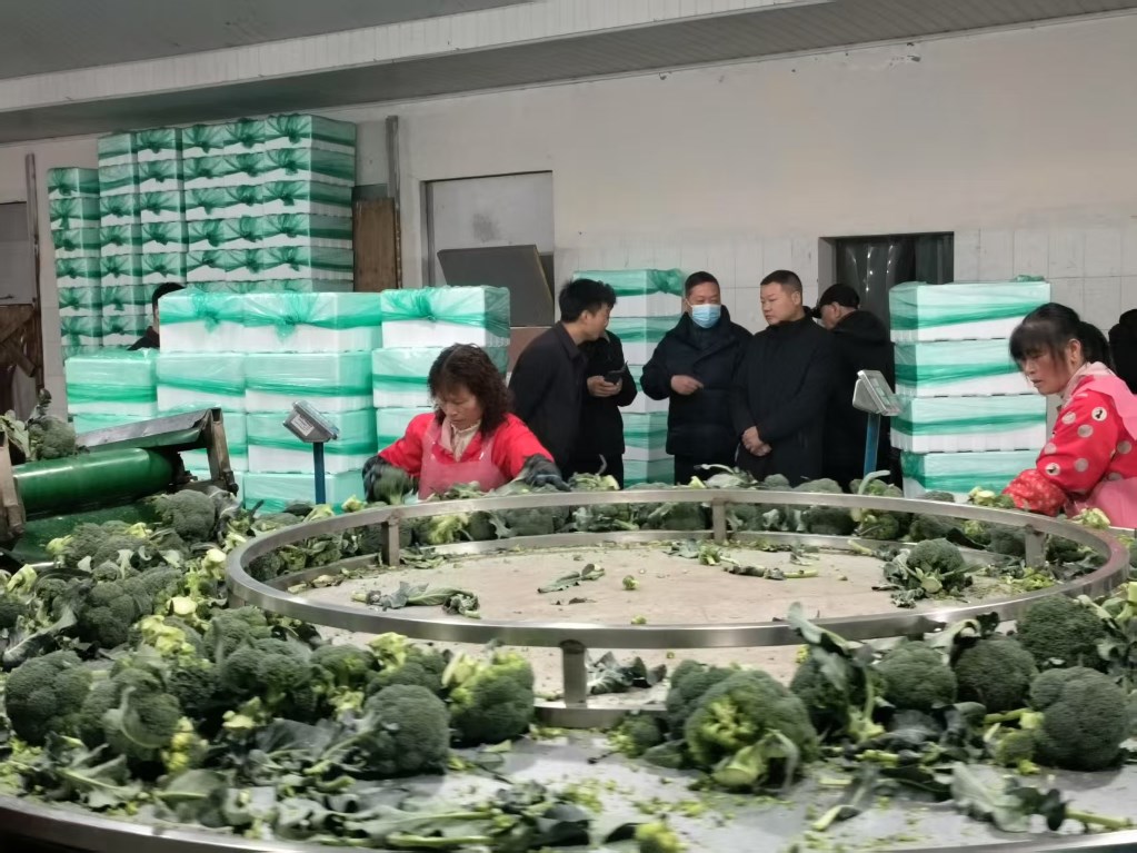 55c5cf3d313432e2b56bd01dfa804d7