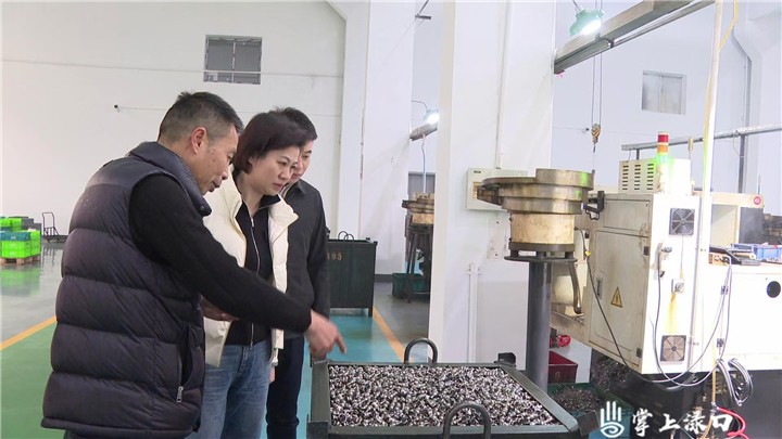 赖晓智到湾塘工业园调研图1