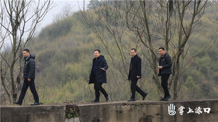 李晓彤强化规划引领 系统盘活存量土地资源图1