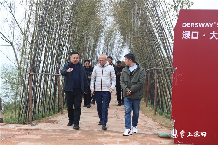 著名文旅策划大师叶文智为渌口文旅产业发展献策图2