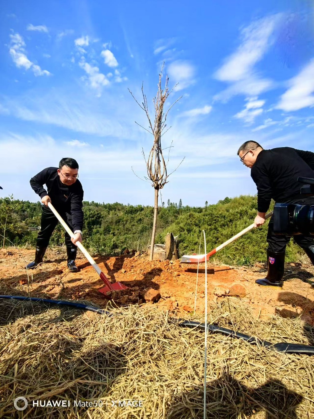 微信图片_20250320095149