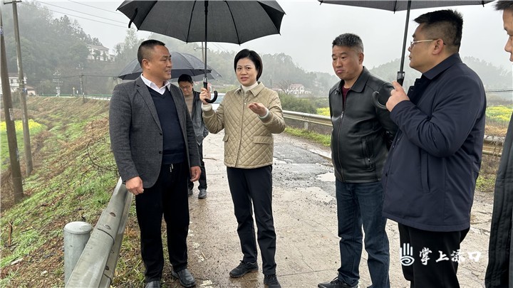 赖晓智调研春修水利、春耕等工作图1