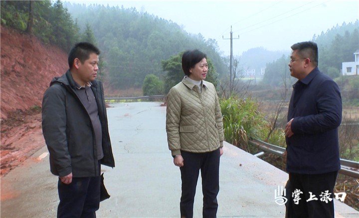 赖晓智调研春修水利、春耕等工作图2