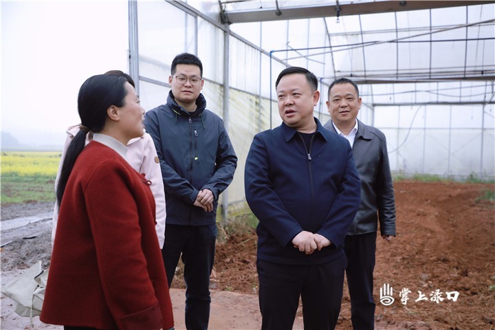 李晓彤到南洲镇调研春耕生产等工作图