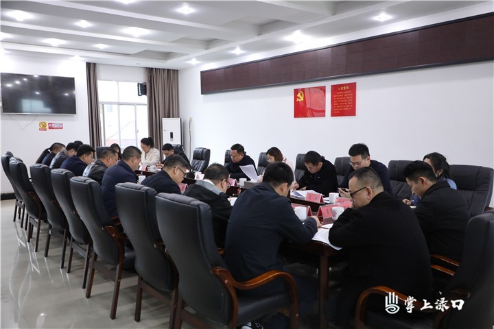 李晓彤到南洲镇调研春耕生产等工作图2