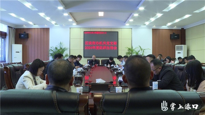 赖晓智参加区政府办机关党支部2024年度组织生活会图1