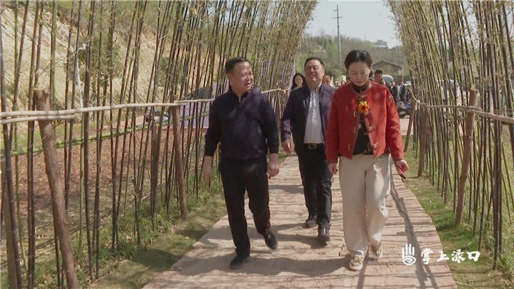 周建明来渌口区调研文旅项目图1