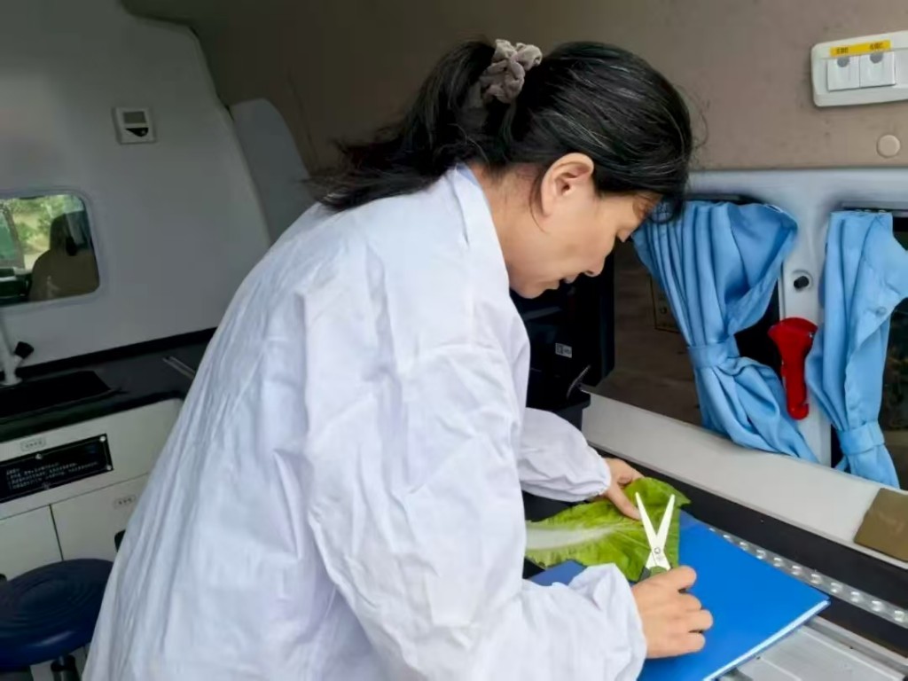 微信图片_20250804123552