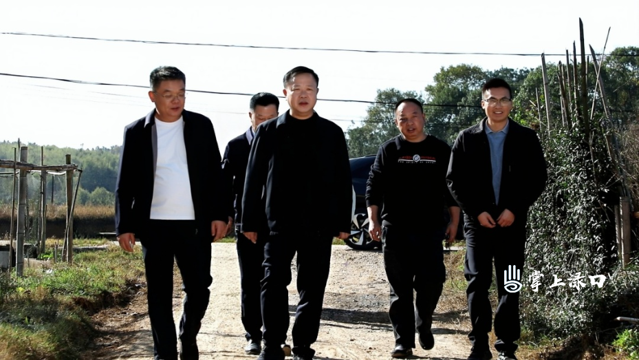 晓彤书记调研水利项目