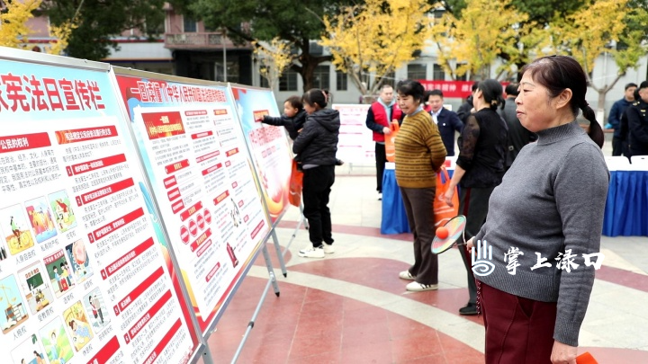 国家宪法日宣传