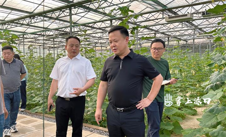 微信图片_20250517112502.jpg 微信图片_20250517112502.jpg