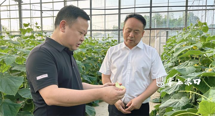 微信图片_20250517112513.jpg 微信图片_20250517112513.jpg