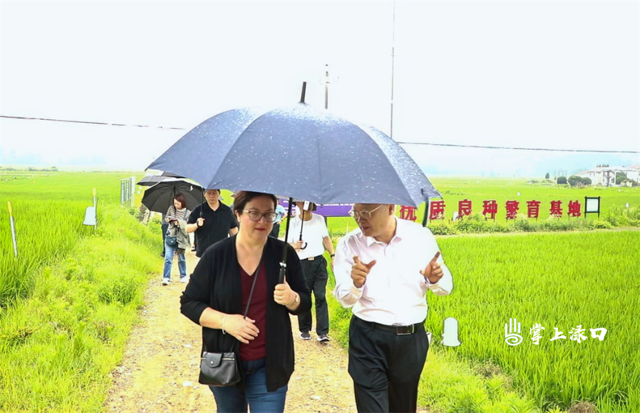 微信图片_20250528172920.jpg 微信图片_20250528172920.jpg