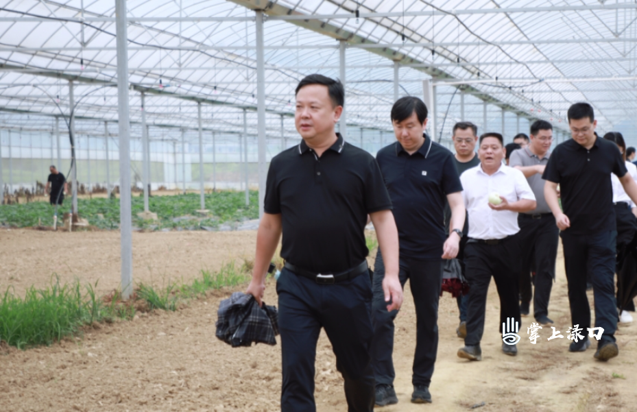 WechatIMG1832.jpg WechatIMG1832.jpg