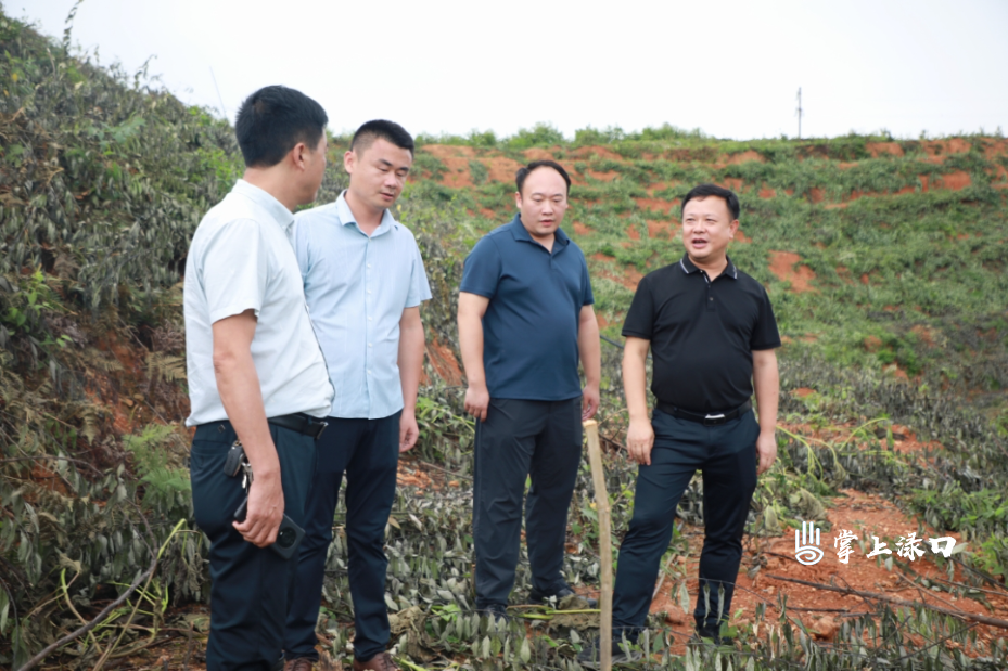 WechatIMG1833.jpg WechatIMG1833.jpg