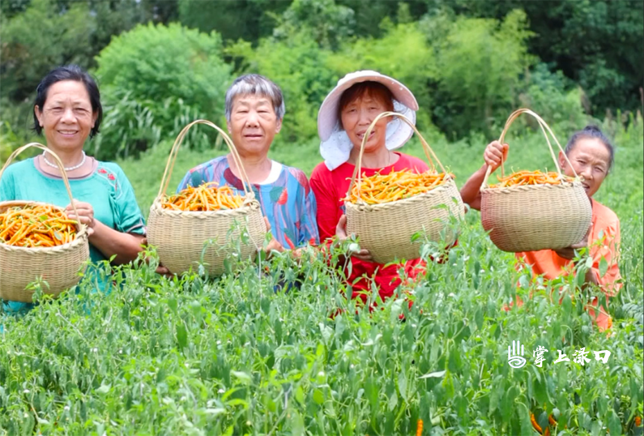 微信图片_20250627155710.jpg 微信图片_20250627155710.jpg