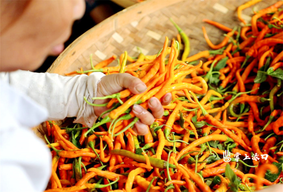 微信图片_20250627155724.jpg 微信图片_20250627155724.jpg