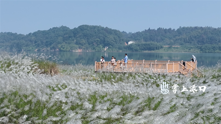 微信图片_2025-08-07_173953_332.png 微信图片_2025-08-07_173953_332.png