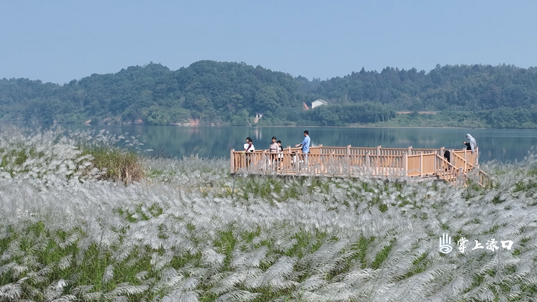 微信图片_20250811152810_530.png 微信图片_20250811152810_530.png