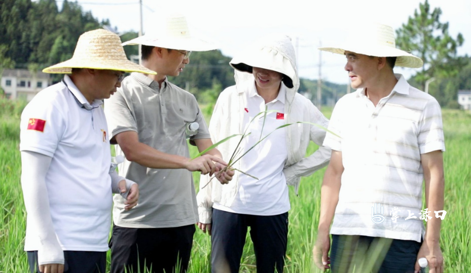 微信图片_20250818113850_421.jpg 微信图片_20250818113850_421.jpg