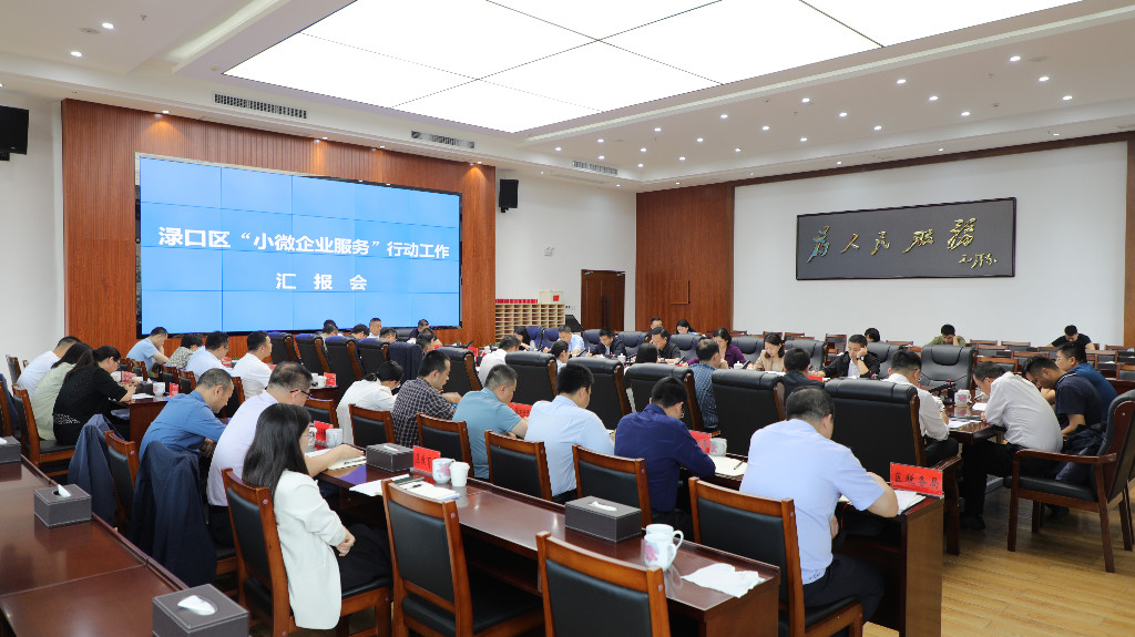 渌口区召开“小微企业服务”行动工作汇报会