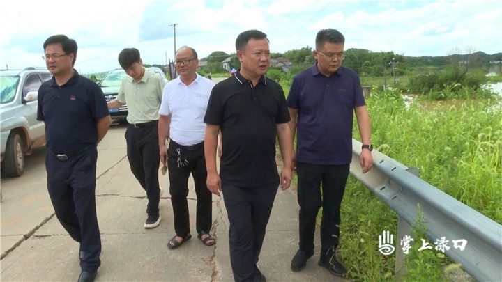 检查防汛领导图片2
